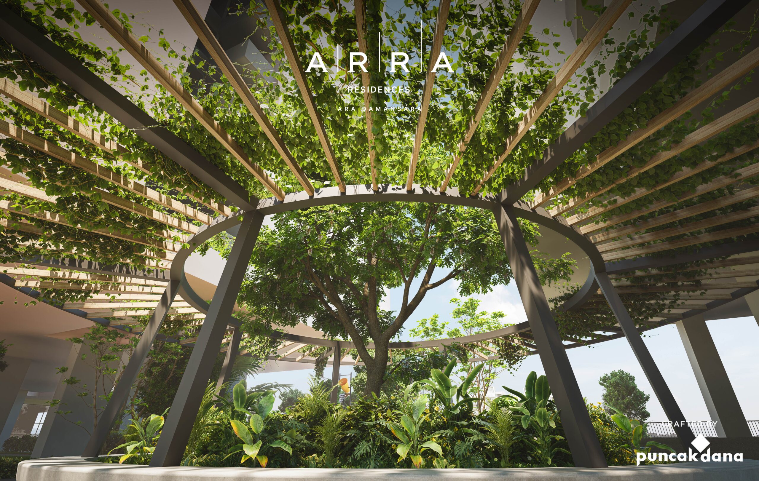11. Trellis 2